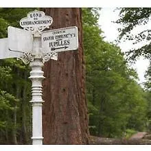 Logis Restaurant Le Vedaquais Отель 3*